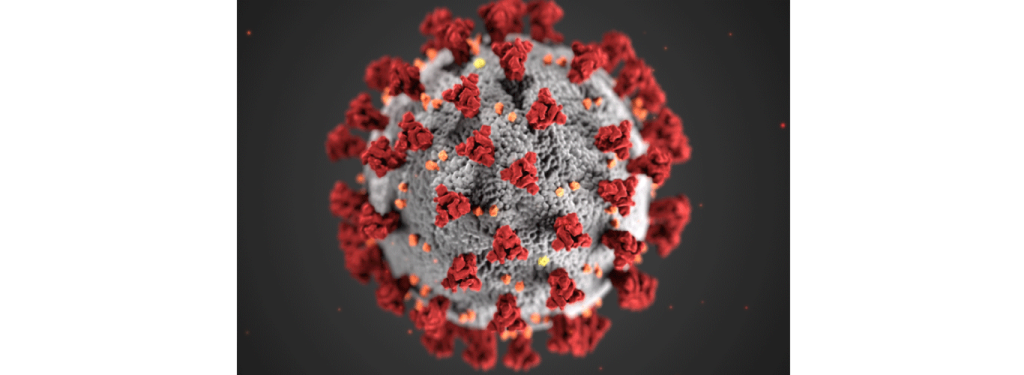 حتمية التحوّر: كورونا ليس استثناءً